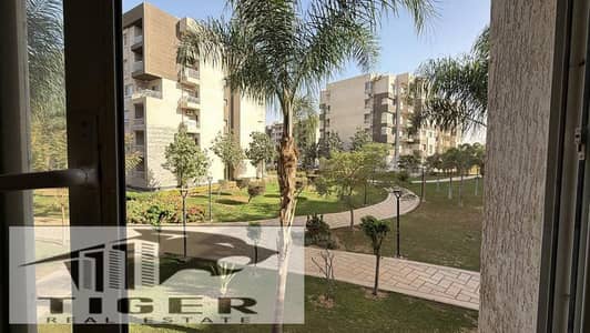 4 Bedroom Flat for Sale in Madinaty, Cairo - 225820. jpg 4 Bedroom Flat for Sale in Madinaty, Cairo - 225820. jpg