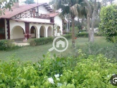 4 Bedroom Flat for Sale in Smoha, Alexandria - 2be7c758-e78c-4647-afed-8bef94226427. jpg