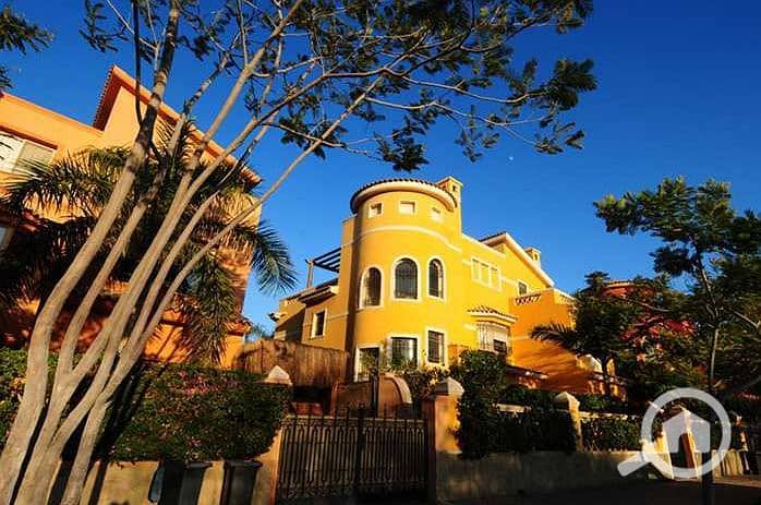 3 Golden Palm Palm Hills 3. jpg