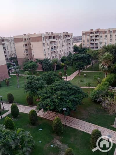 2 Bedroom Apartment for Sale in Madinaty, Cairo - WhatsApp Image 2026-08-10 at 11.05. 02 AM (1). jpeg