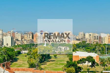 3 Bedroom Flat for Rent in Sporting, Alexandria - 1. jpg 3 Bedroom Flat for Rent in Sporting, Alexandria - 1. jpg