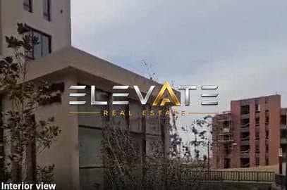 2 364947. jpg