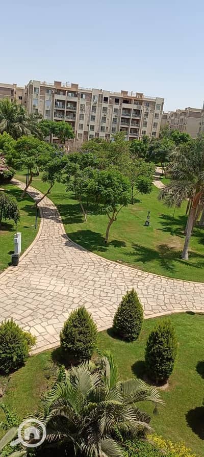 2 Bedroom Apartment for Rent in Madinaty, Cairo - 6d643f15-5f8f-4cee-945c-8573f7f8bff6. jpg