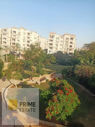 4 Bedroom Flat for Sale in Madinaty, Cairo - WhatsApp Image 2026-08-10 at 2.58. 05 PM (1). jpeg 4 Bedroom Flat for Sale in Madinaty, Cairo - WhatsApp Image 2026-08-10 at 2.58. 05 PM (1). jpeg
