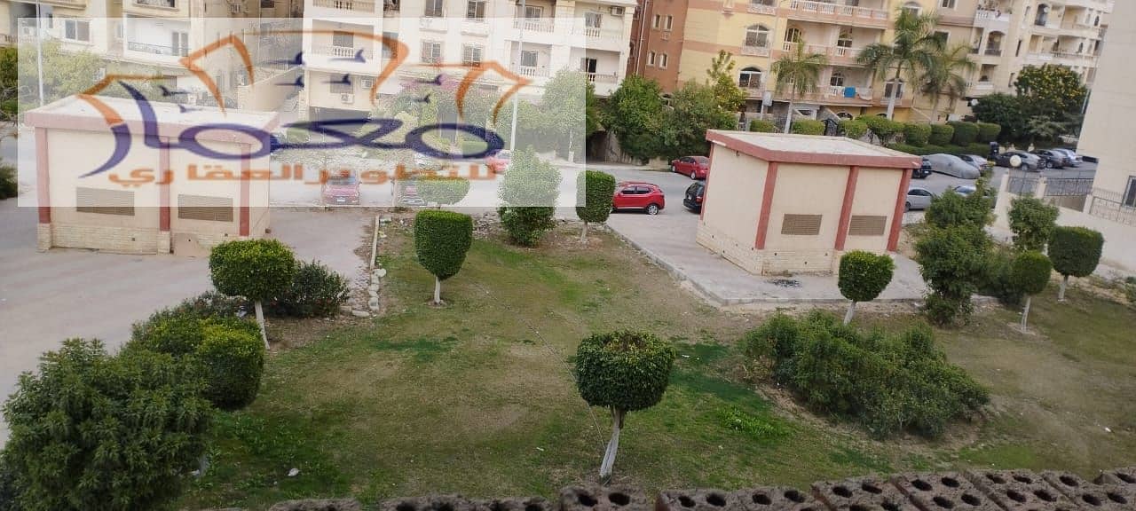 3 7b212c7a-adc2-4b06-b0af-6918333cb106. jpeg