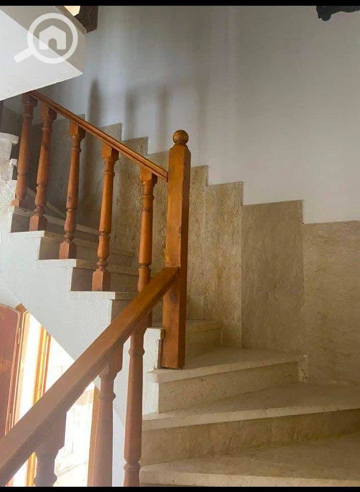11 1000544602. jpg