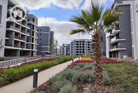 بنتهاوس 4 غرف نوم للبيع في حدائق اكتوبر، الجيزة - sun-capital. jpg بنتهاوس 4 غرف نوم للبيع في حدائق اكتوبر، الجيزة - sun-capital. jpg