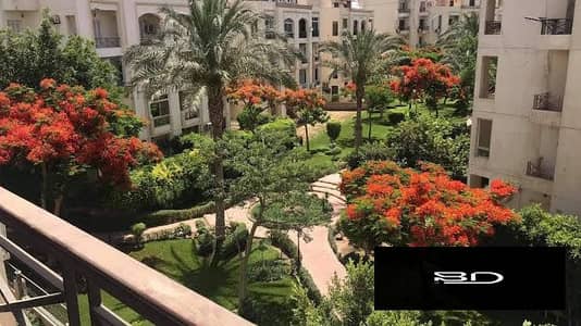 فلیٹ 3 غرف نوم للايجار في الشيخ زايد، الجيزة - WhatsApp Image 2026-08-09 at 7.26. 01 PM (2). jpeg فلیٹ 3 غرف نوم للايجار في الشيخ زايد، الجيزة - WhatsApp Image 2026-08-09 at 7.26. 01 PM (2). jpeg