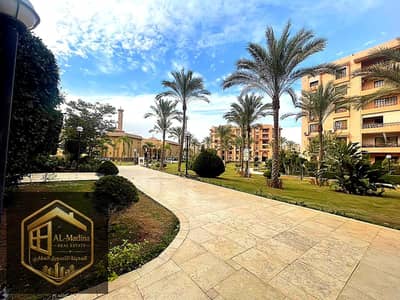 3 Bedroom Flat for Sale in New Cairo, Cairo - 1000203478. jpg 3 Bedroom Flat for Sale in New Cairo, Cairo - 1000203478. jpg