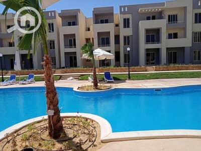 2 Bedroom Chalet for Sale in Ras Sedr, Sinai - WhatsApp Image 2024-05-13 at 2.38. 10 PM (1). jpeg 2 Bedroom Chalet for Sale in Ras Sedr, Sinai - WhatsApp Image 2024-05-13 at 2.38. 10 PM (1). jpeg