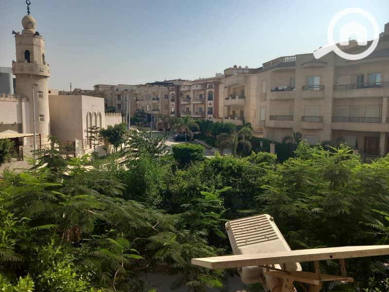 5 1000379087. jpg