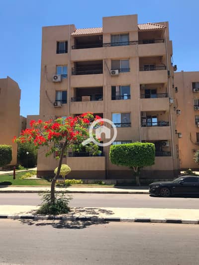 شقة 3 غرف نوم للبيع في القاهرة الجديدة، القاهرة - 6a607981d7020_WhatsApp-Image-2026-07-22-at-10.58. 22-AM. jpeg شقة 3 غرف نوم للبيع في القاهرة الجديدة، القاهرة - 6a607981d7020_WhatsApp-Image-2026-07-22-at-10.58. 22-AM. jpeg