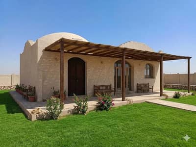 عقارات تجارية اخرى للبيع في القاهرة الجديدة، القاهرة - فرصة استثمارية لا تتكرر في كمبوند سياج على بعد خطواط من اكتوبر ٢٥ دقيق عقارات تجارية اخرى للبيع في القاهرة الجديدة، القاهرة - فرصة استثمارية لا تتكرر في كمبوند سياج على بعد خطواط من اكتوبر ٢٥ دقيق