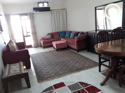 3 Bedroom Apartment for Rent in New Cairo, Cairo - WhatsApp Image 2026-08-10 at 12.57. 43 PM. jpeg 3 Bedroom Apartment for Rent in New Cairo, Cairo - WhatsApp Image 2026-08-10 at 12.57. 43 PM. jpeg