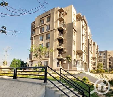 3 Bedroom Apartment for Rent in New Cairo, Cairo - 698179433_1980881212799022_7339726143568739257_n. jpg
