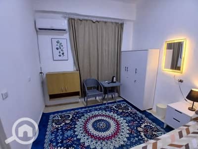 استوديو  للايجار في القاهرة الجديدة، القاهرة - 1000141021. jpg