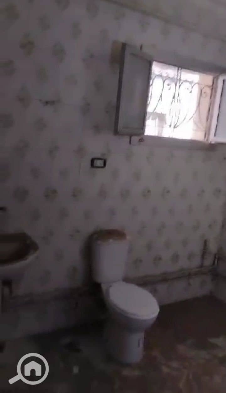7 photo_6039759698459823897_y. jpg
