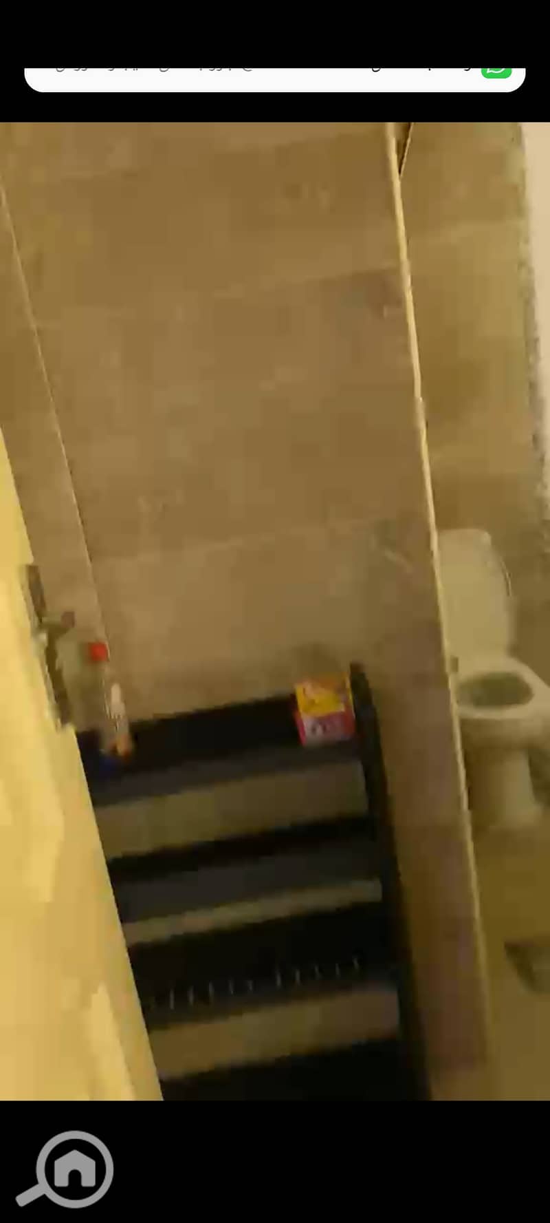 10 1000702325. jpg