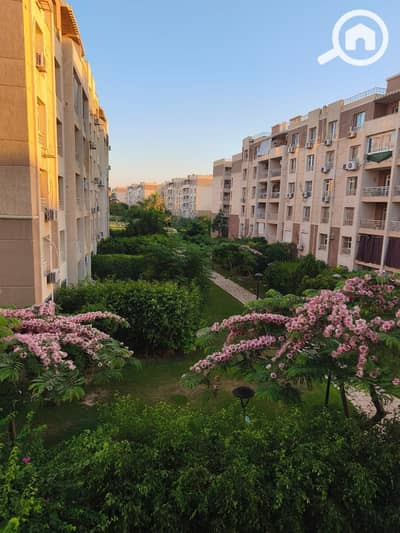 2 Bedroom Flat for Sale in Madinaty, Cairo - 1000280459. jpg 2 Bedroom Flat for Sale in Madinaty, Cairo - 1000280459. jpg