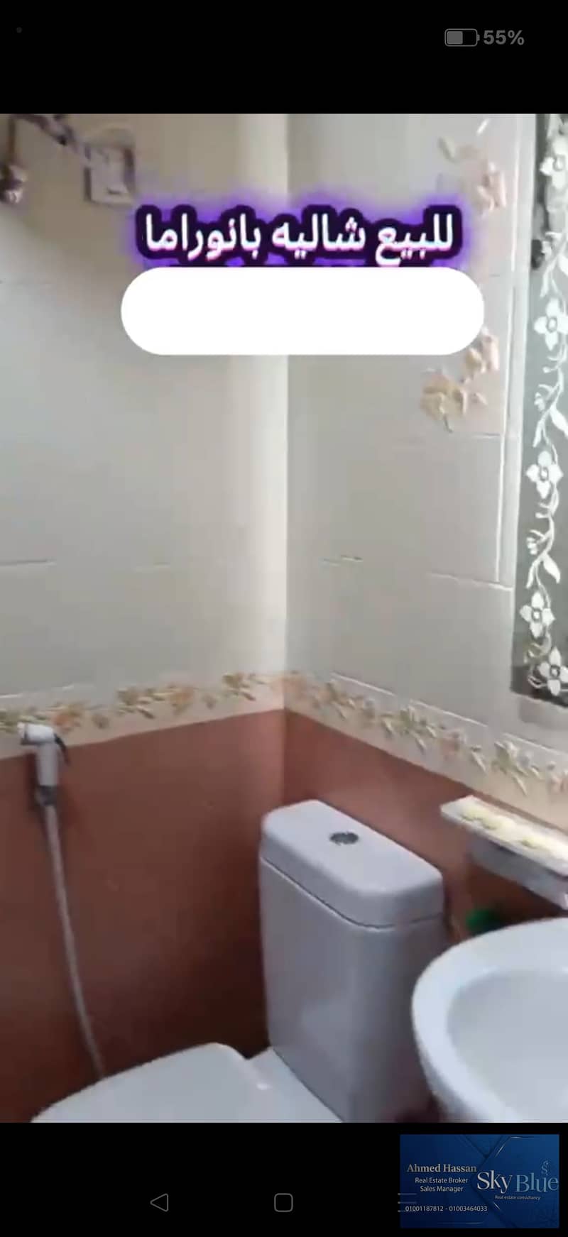 5 288355. jpg
