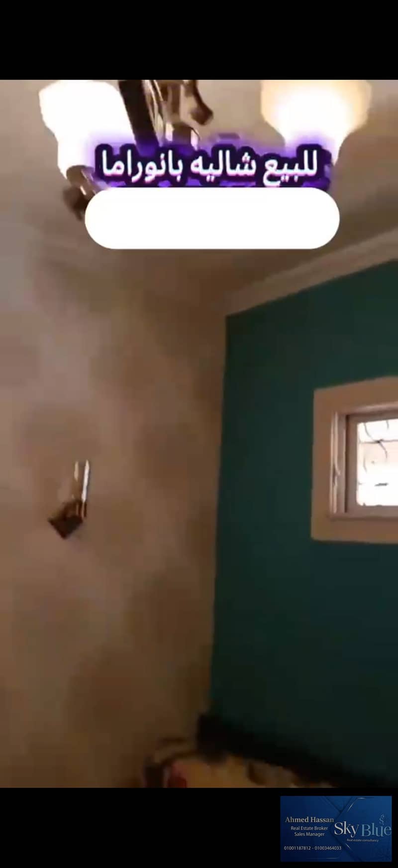 6 288357. jpg