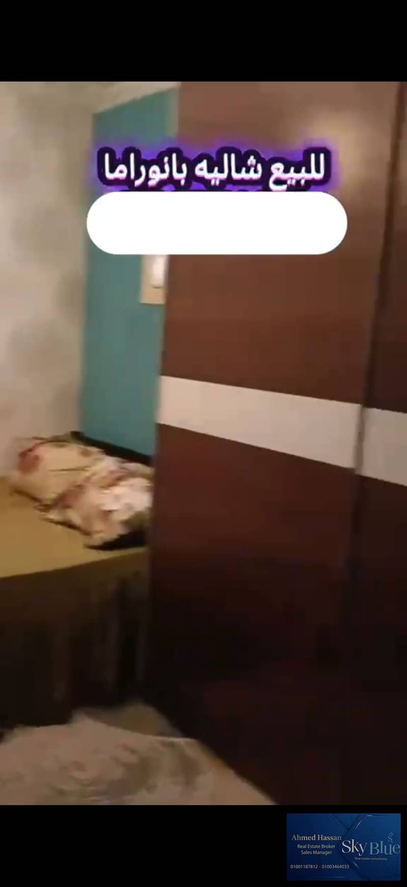 7 288356. jpg