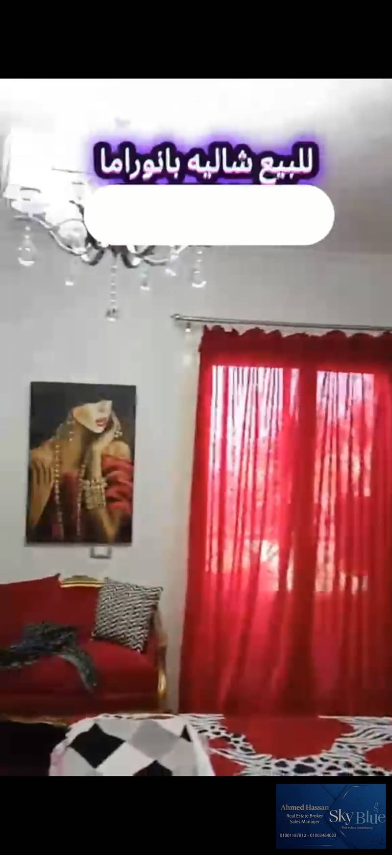 14 288367. jpg
