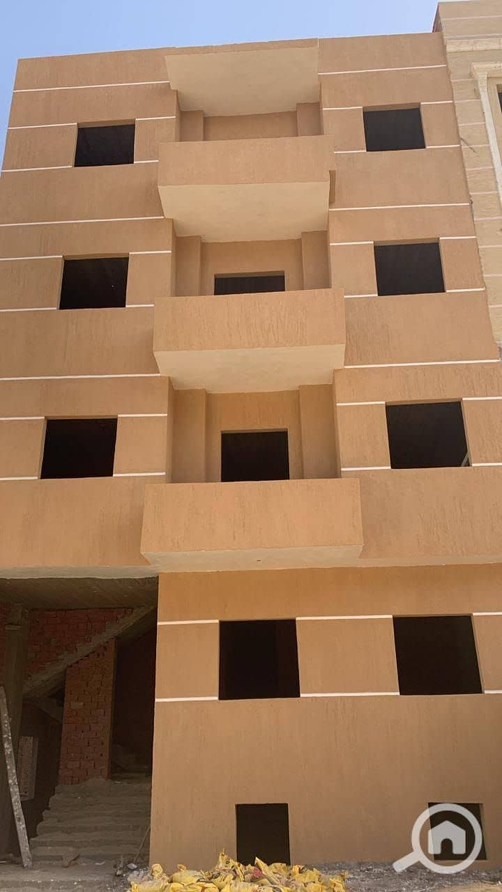 1000080971. jpg 1000080971. jpg