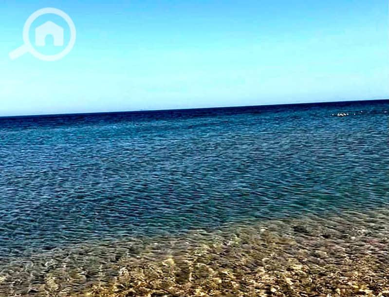 5 9f611c1f-31aa-44ef-a3cb-076ad6084d00. jpg