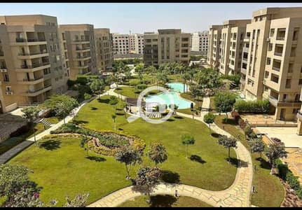 شقة 4 غرف نوم للبيع في القاهرة الجديدة، القاهرة - IMG_2876. png شقة 4 غرف نوم للبيع في القاهرة الجديدة، القاهرة - IMG_2876. png