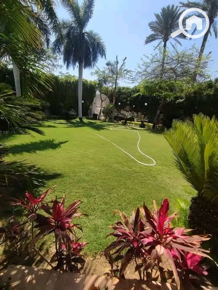 10 IMG-20260615-WA0010. jpg