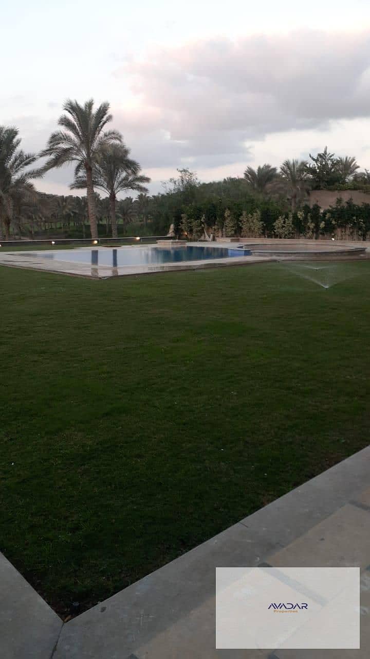 5 WhatsApp Image 2026-08-10 at 18.01. 29 (1). jpeg