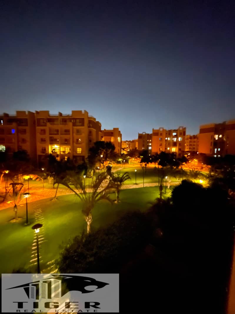 6 285991. jpg