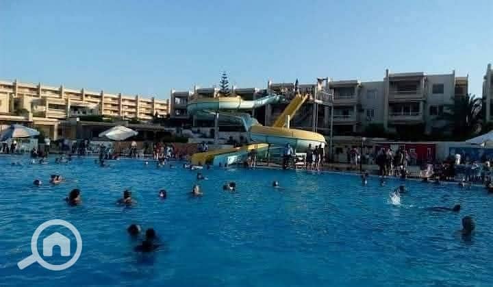 21 24505. jpg