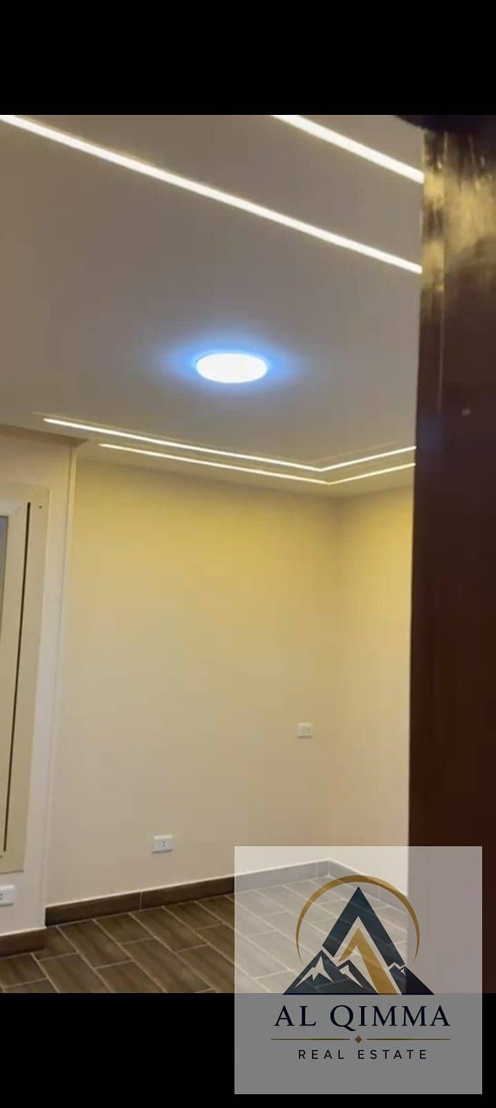 7 266284. jpg