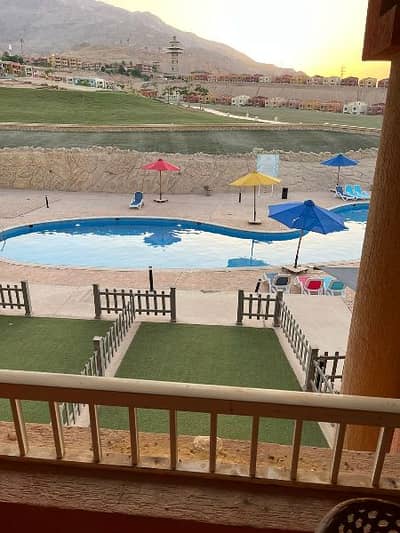 شاليه 2 غرفة نوم للايجار في العين السخنة، السويس - شاليه للايجار في بورتو السخنه شاليه 2 غرفة نوم للايجار في العين السخنة، السويس - شاليه للايجار في بورتو السخنه