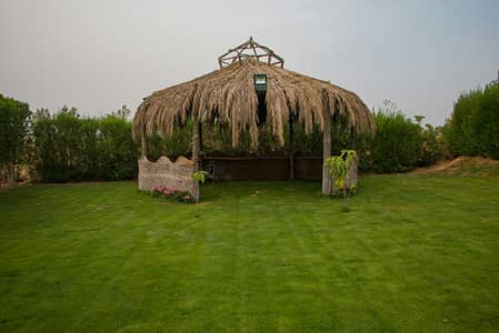أرض للبيع في العبور، القاهرة - ارض ٧ فدان للبيع بجمعية احمد عرابي land for sale in Ahmed oraby أرض للبيع في العبور، القاهرة - ارض ٧ فدان للبيع بجمعية احمد عرابي land for sale in Ahmed oraby