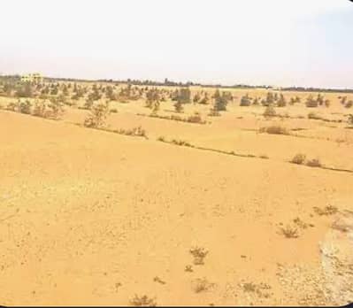 Land for Sale in Sheikh Zayed, Giza - أرض فى الحزام الأخضر من المالك مباشرة