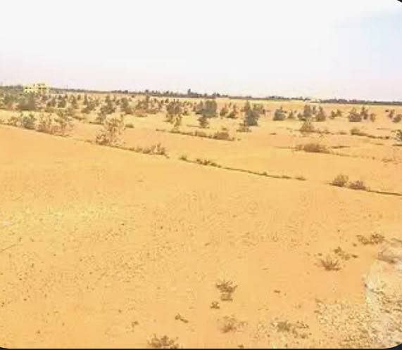 أرض فى الحزام الأخضر من المالك مباشرة أرض فى الحزام الأخضر من المالك مباشرة