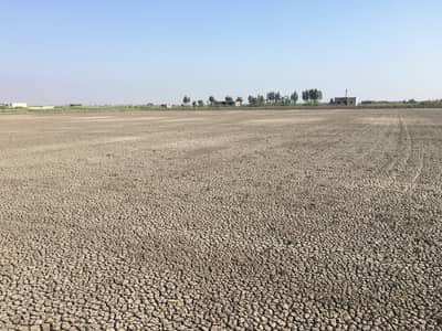 Agricultural Land for Sale in Ganoub District, Port Said - ١٧،٥ فدان ارض زراعية موقع متميز