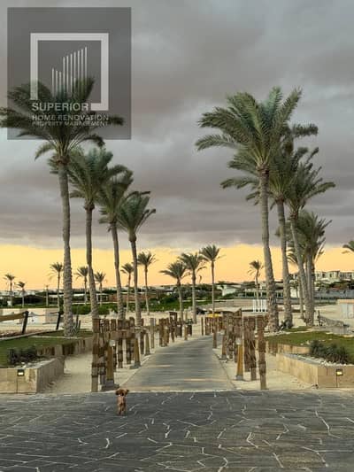 5 Bedroom Villa for Rent in North Coast, Matruh - 9b8f216d-0d30-4355-8a4b-428d16658574. jpg 5 Bedroom Villa for Rent in North Coast, Matruh - 9b8f216d-0d30-4355-8a4b-428d16658574. jpg