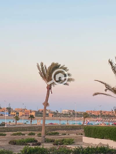 شاليه 2 غرفة نوم للبيع في الساحل الشمالي، مطروح - 1000150871. jpg شاليه 2 غرفة نوم للبيع في الساحل الشمالي، مطروح - 1000150871. jpg