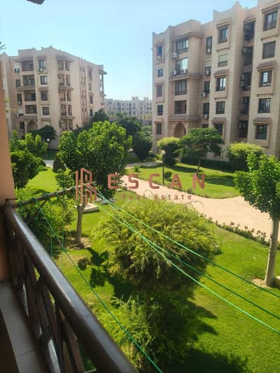 فلیٹ 3 غرف نوم للايجار في القاهرة الجديدة، القاهرة - WhatsApp Image 2026-08-11 at 4.11. 50 PM (3). jpeg
