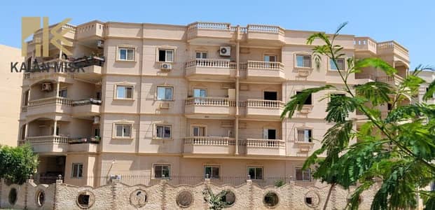 شقة 3 غرف نوم للبيع في مدينة الشروق، القاهرة - 4579. jpg شقة 3 غرف نوم للبيع في مدينة الشروق، القاهرة - 4579. jpg