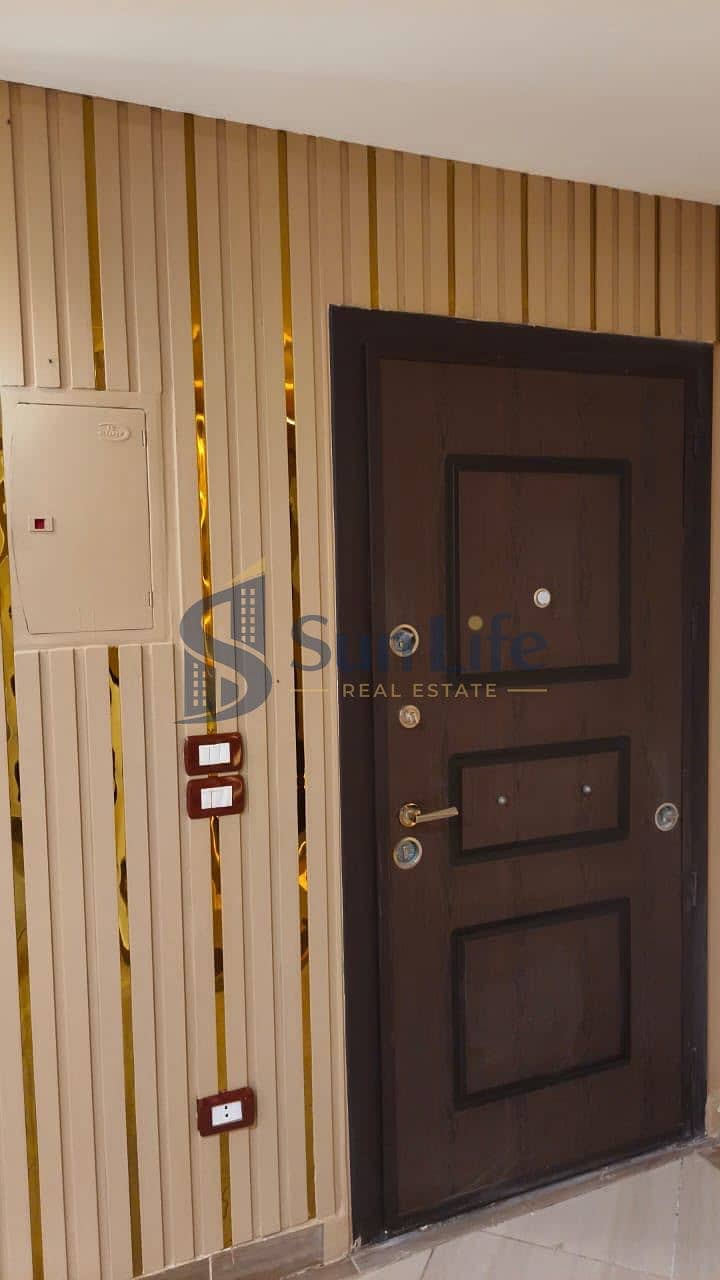 6 145584. jpg