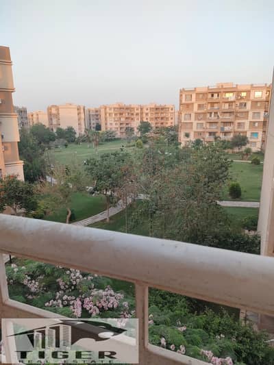 3 Bedroom Flat for Rent in Madinaty, Cairo - 1000794980. jpg 3 Bedroom Flat for Rent in Madinaty, Cairo - 1000794980. jpg
