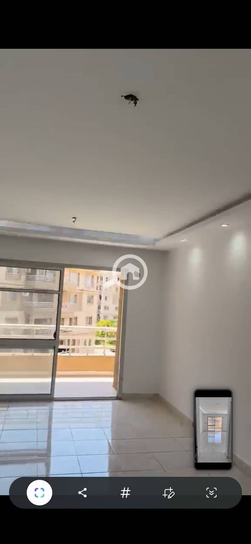 6 46551. jpg