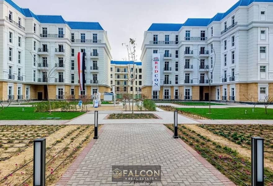 11 8. jpg