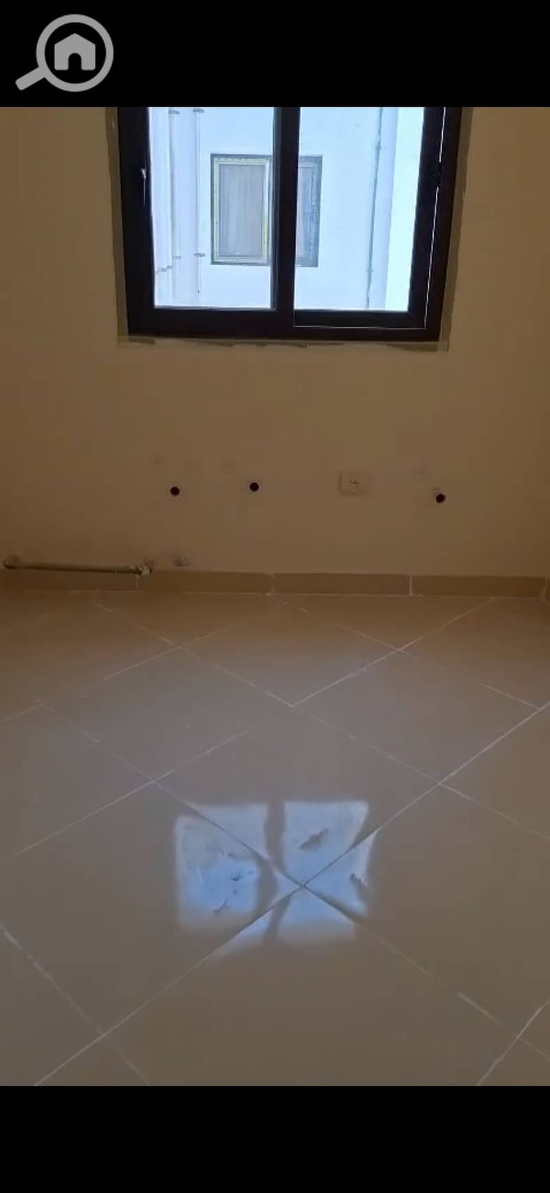 5 1001534305. jpg