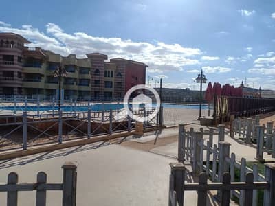 1 Bedroom Chalet for Rent in Ain Sukhna, Suez - 1000034456. jpg 1 Bedroom Chalet for Rent in Ain Sukhna, Suez - 1000034456. jpg